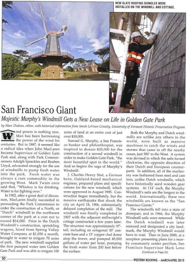 San Francisco Giant Article