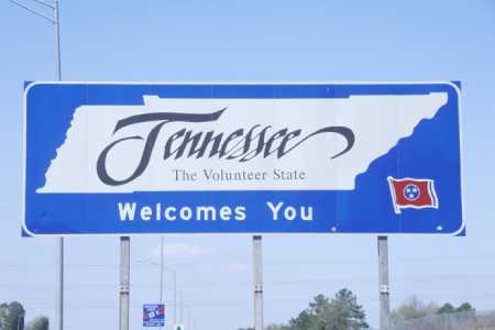 Tennessee Slate Shingles